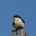 2012-04-14@18-03-18-2