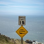 Traversée de tritons !