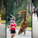 Une belle giraffe suivie par son amie l'autruche.