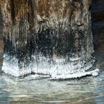 Un dépot de sel sur le pied d'un ponton. Avec le vent et le soleil c'est l'endroit idéal pour des marais salants.