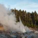 Un petit geyser qui crache de l'eau bouillante en permanence.