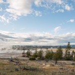 Vue d'ensemble du « Lower Geyser Basin », la partie la plus basse de la série de geysers allant jusqu'au Old Faithful.