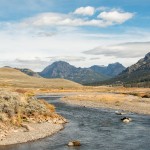 La « Lamar River » le long de laquelle nous nous sommes promenés le dernier jour.