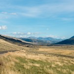 La route que nous avons prise à travers la « Lamar Valley » et « Specimen Ridge » avec des troupeaux de bisons tout le long.