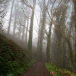 Le brouillard en train de se lever et un flamand rose en plastique qui annonce le point de ravitaillement.